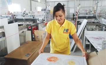 Review trần nhựa thả PHL