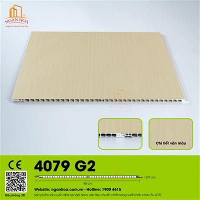 Nhựa nano G2 - 4079