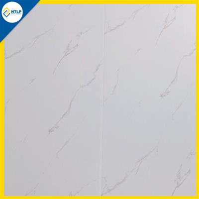 Tấm nhựa ốp tường - trần Nano D02a