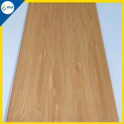 Tấm nhựa ốp tường - trần Nano D21