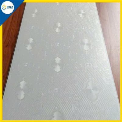 Tấm nhựa ốp tường - trần Nano H04