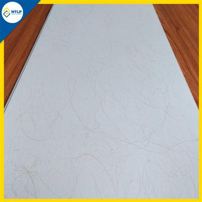 Tấm nhựa ốp tường - trần Nano H07